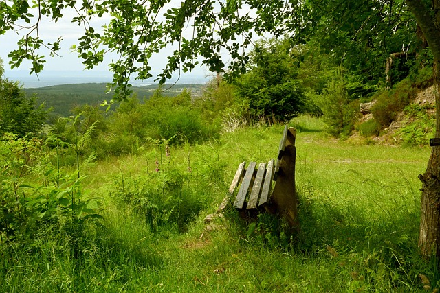 数据背后的 数据背后的