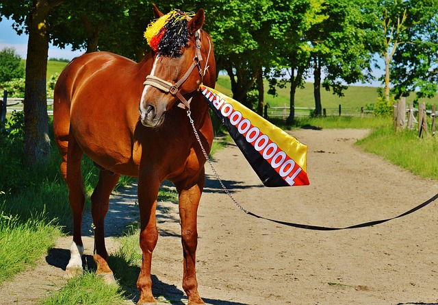 他在射手榜 他在射手榜
