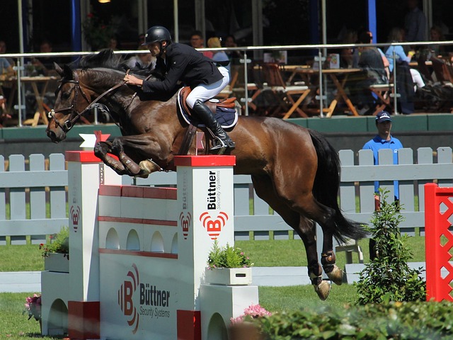 明星个体的 明星个体的