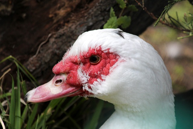 低迷的局面 低迷的局面